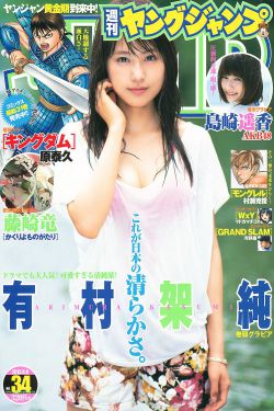 决战燕子门电视剧43